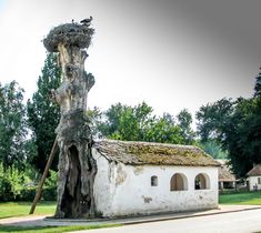 Kovilj
